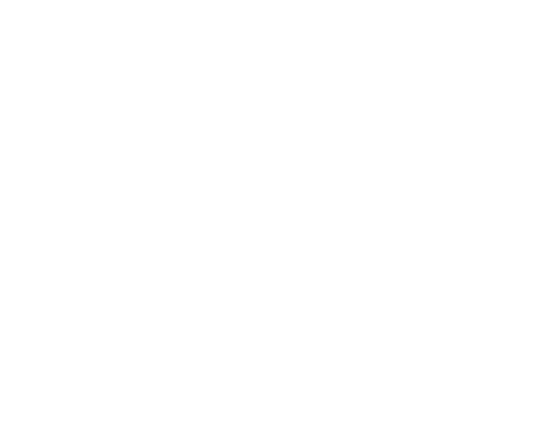 logo english domenic-barbist mountainguide