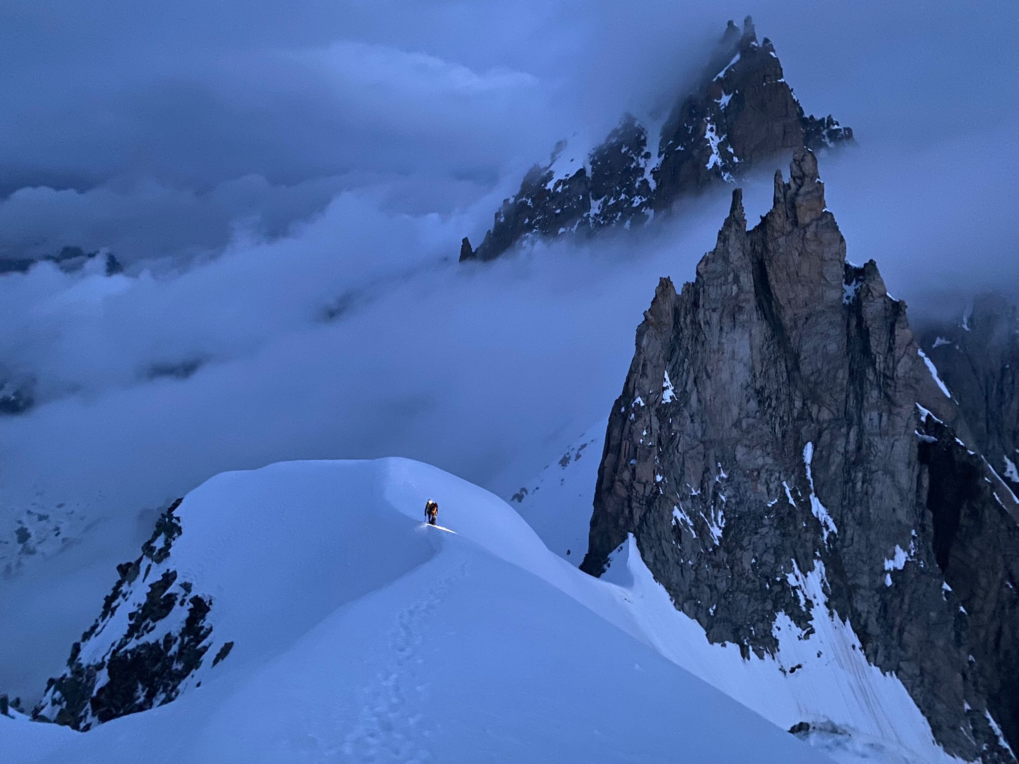 aiguille vert summit with guide