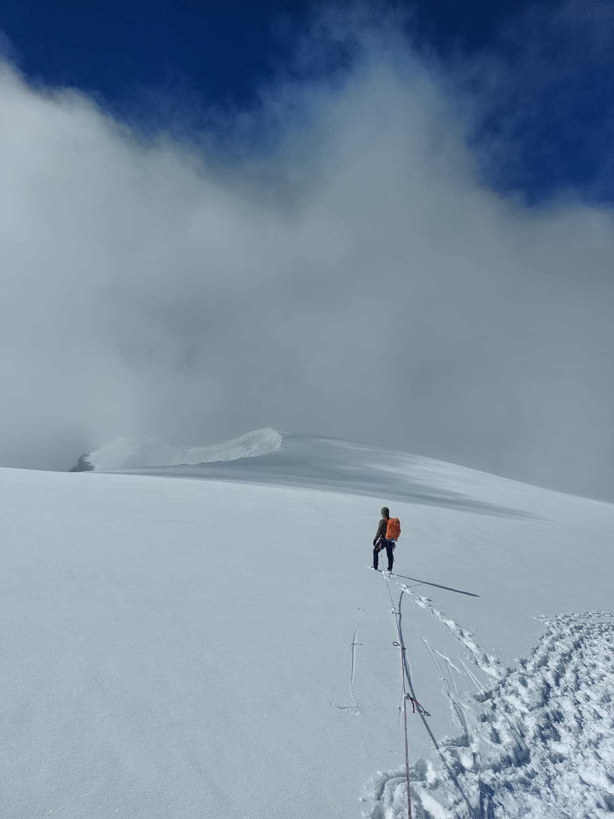 am ortler gipfelplateau