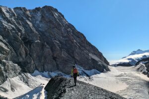 ortler koenigspitze zebru pleisshorngrat