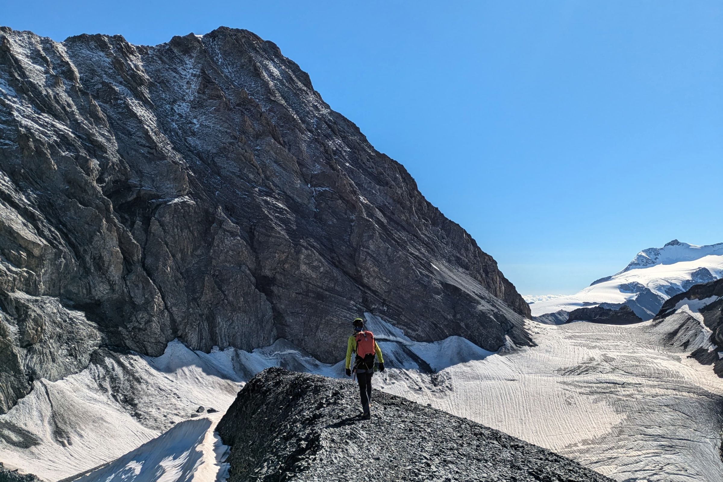 ortler koenigspitze zebru pleisshorngrat